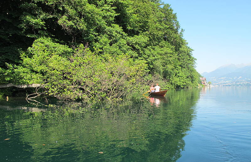 Buchtenwandern am Millstätter See