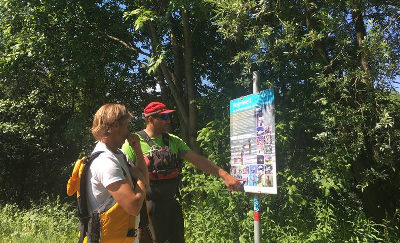 <p>Urlaub im Wohnmobil von Ute Zaworka, Kajaktour am Ossiacher See, Laichschongebiet Ossiacher See</p>