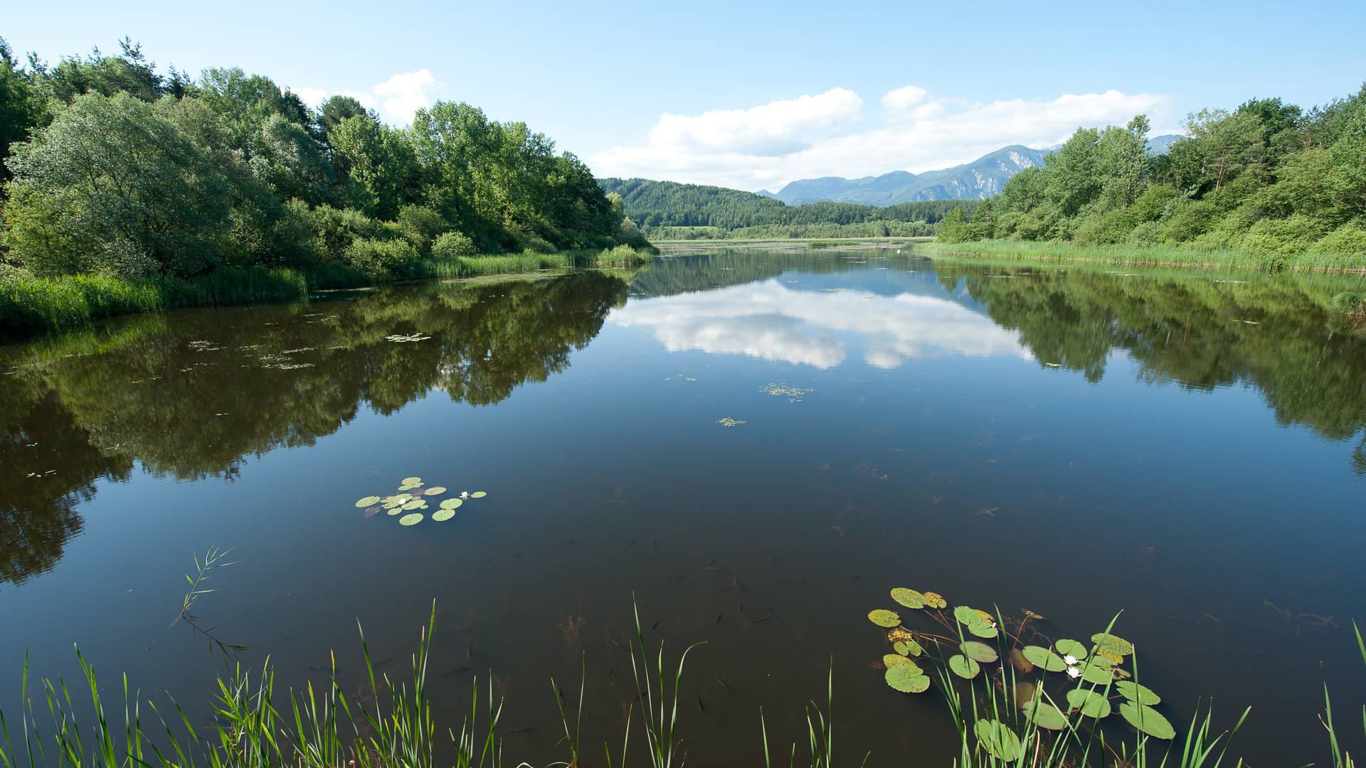 Kärnten Naturerleben