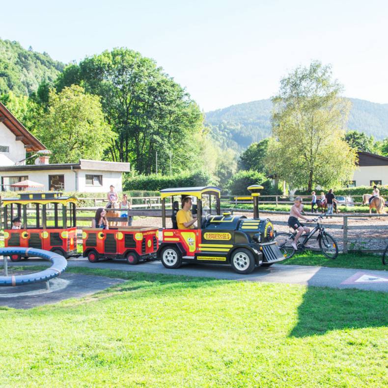Camping Burgstaller