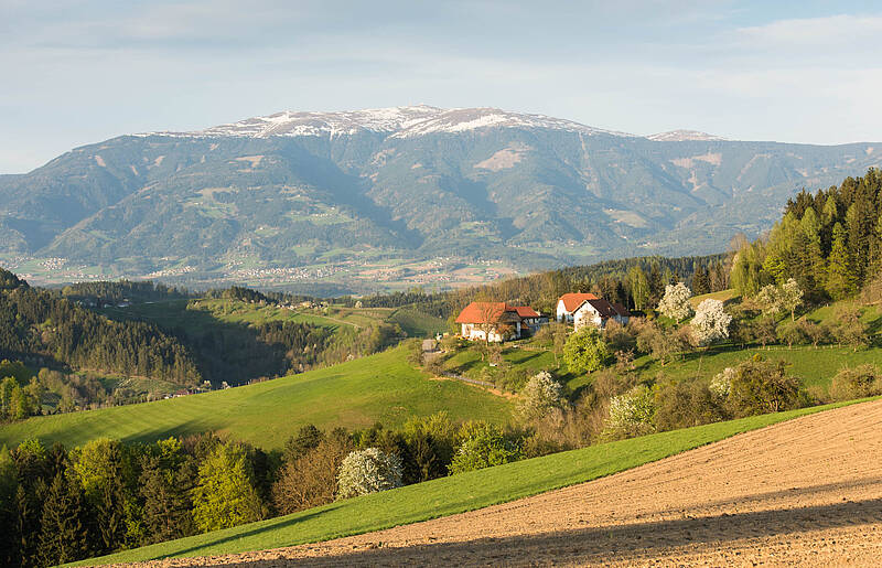 Lavanttal im Frühling