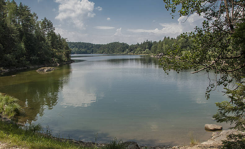 Forstsee in Techelsberg am Wörthersee