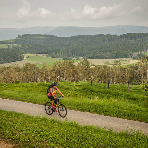 Radfahren in Kappel am Krappfeld in Mittelkärnten