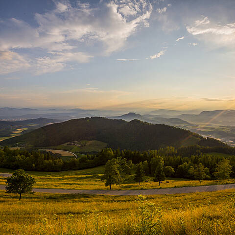 Magdalensberg Region Mittelkärnten