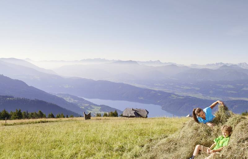 Geschmack der Kindheit - Wandern Millstätter Alpe