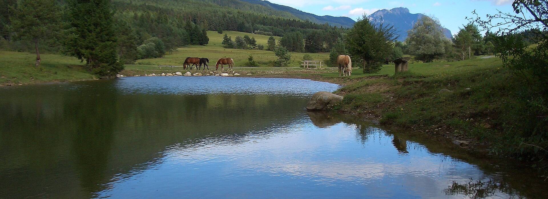 Naturgarten Siebenbrünn in St. Stefan im Gailtal in der Naturarena Kärnten