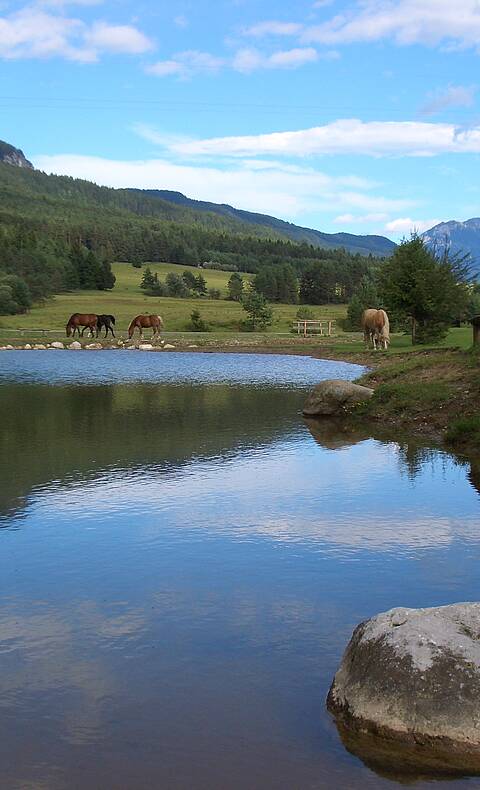 Naturgarten Siebenbrünn in St. Stefan im Gailtal in der Naturarena Kärnten