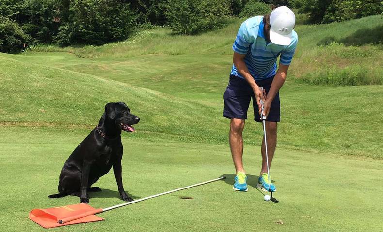 <p>Golfen mit Hund</p>