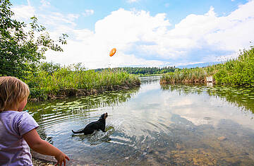 Baden mit Hund am Klopeiner See