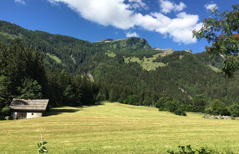 Urlaub im Wohnmobil von Ute Zaworka, Kräuterwanderung im Maltatal