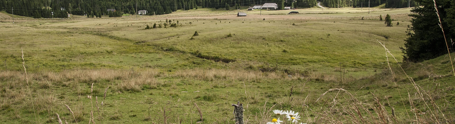 Wandern in Glödnitz in Mittelkärnten