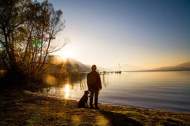 Mit dem Hund am Ufer des Wörthersees