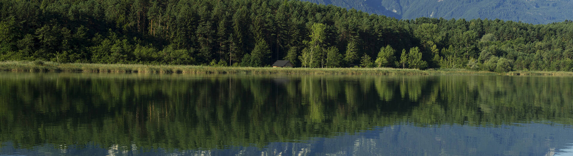 Campinggenuss in Kärnten