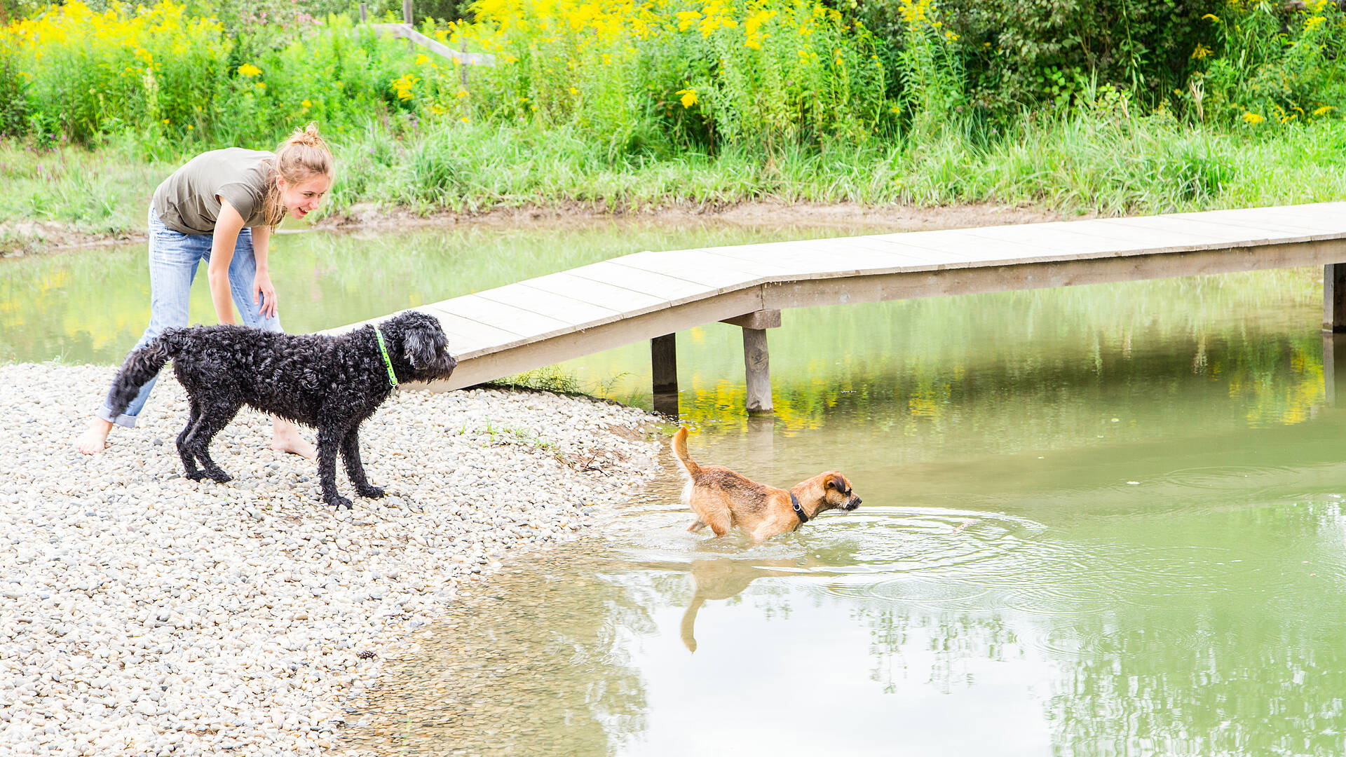 Mit dem Hund am Campingplatz Rosental Roz