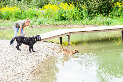 Mit dem Hund am Campingplatz Rosental Roz
