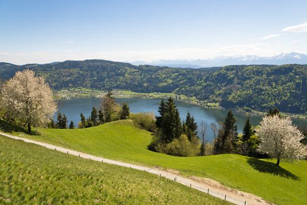 Frühling am Ossiacher See