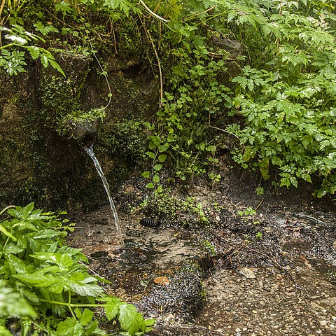 Heilquelle in Bad St. Leonhard im Lavanttal