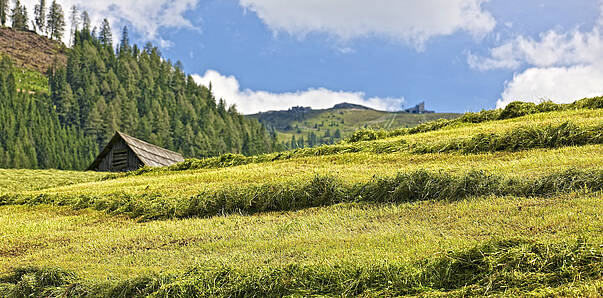 Landschaftsbild Bad Kleinkirchheim