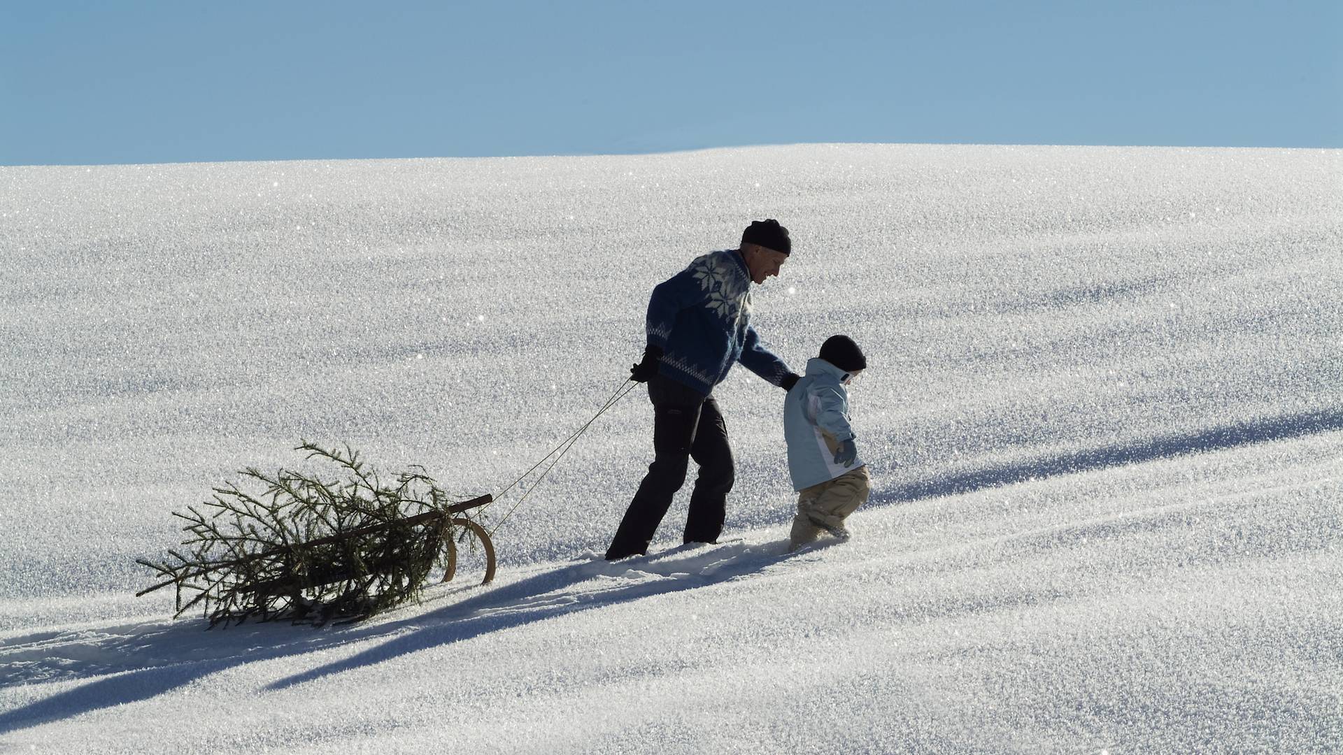 Die ganze Familie hat Spaß beim Christbaum holen mit dem Schlitten im Schnee.