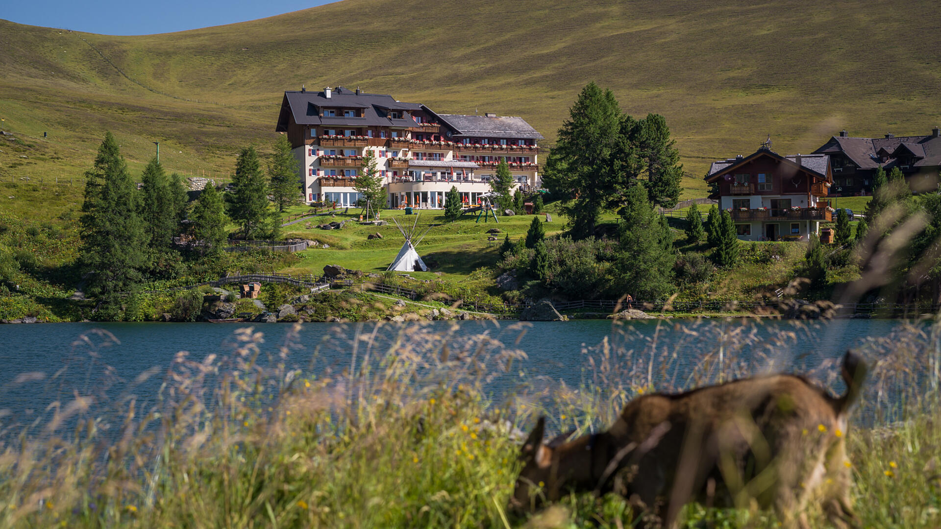 Heidi Alm am Falkert
