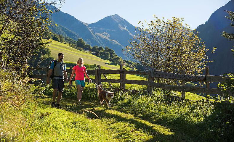 Wandern mit Hund im Nationalpark Hohe Tauern