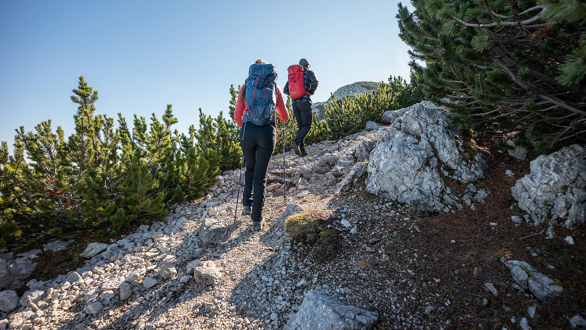 Herbstwandern auf der Petzen