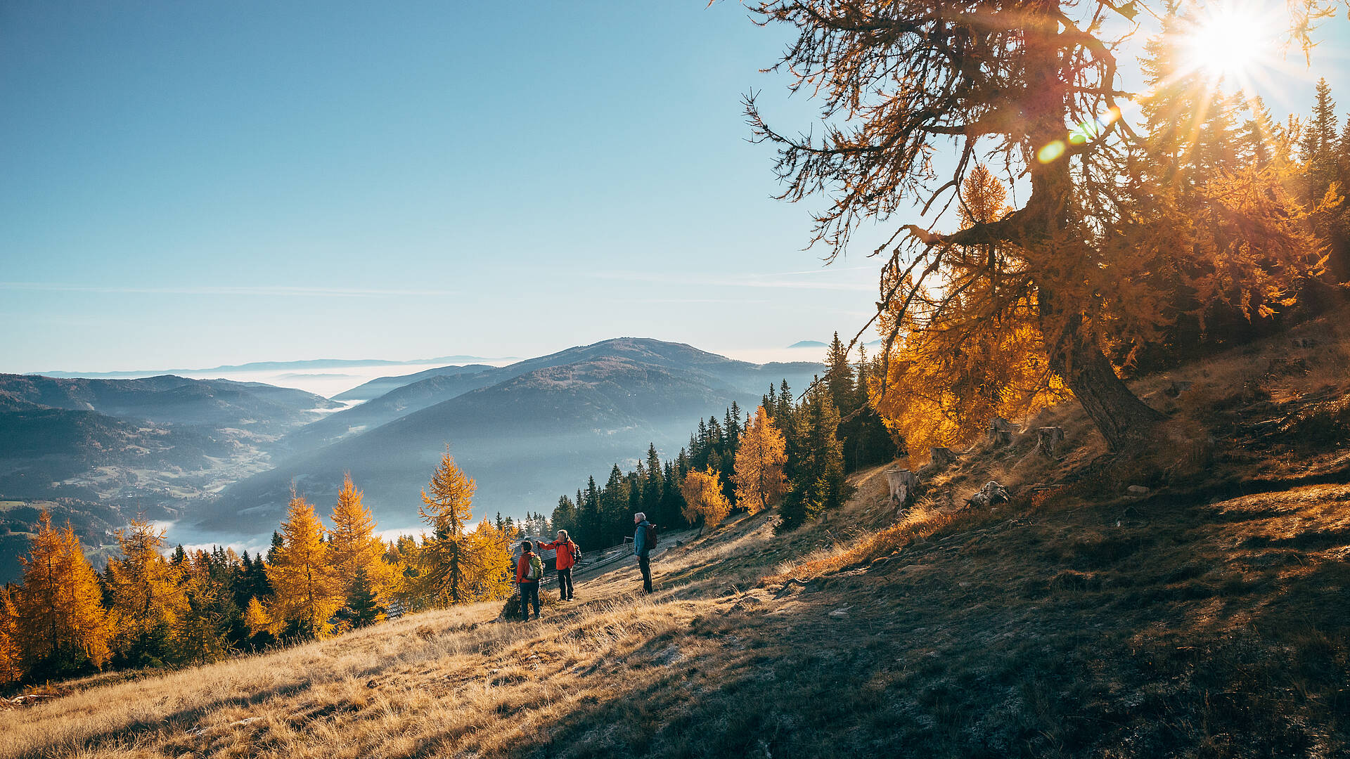 Wandern am Verditz