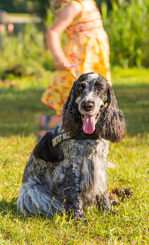 Urlaub mit Kind und Hund © pixelpoint multimedia, Wolfgang Handler