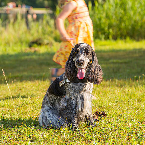 Urlaub mit Kind und Hund © pixelpoint multimedia, Wolfgang Handler