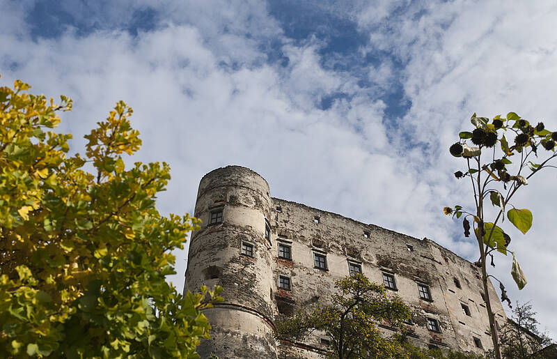 Die Alte Burg in Gmünd