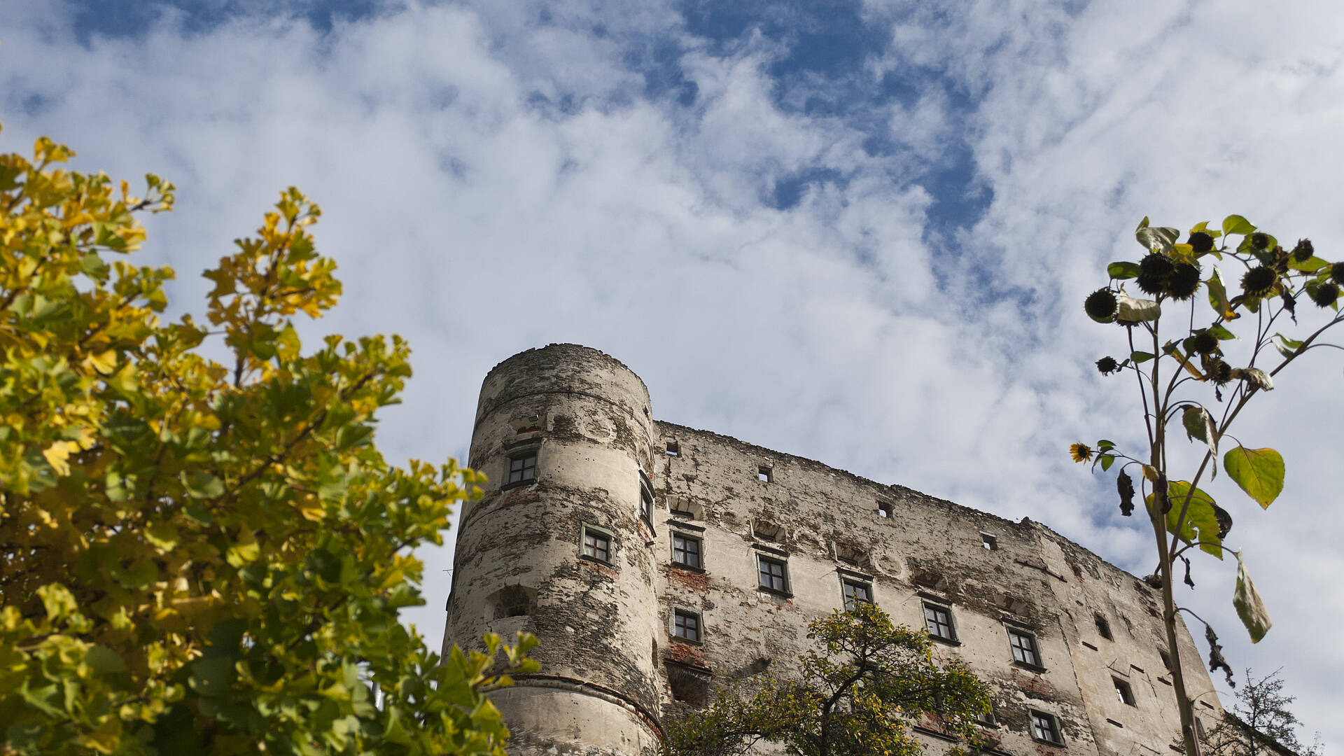 Die Alte Burg in Gmünd