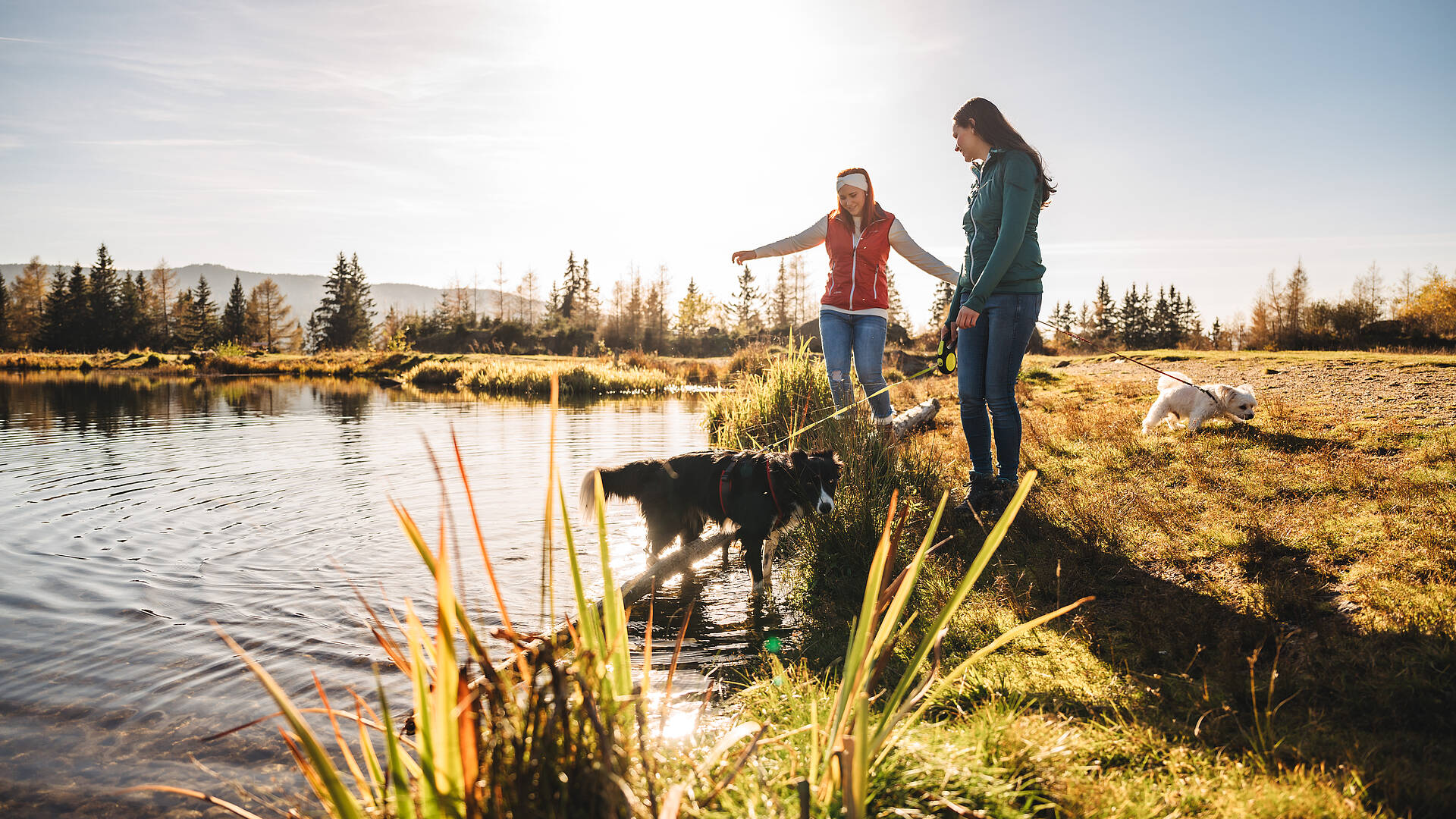 Zwei Frauen beim Wandern auf der Hebalm in Preitenegg mit Hunden
