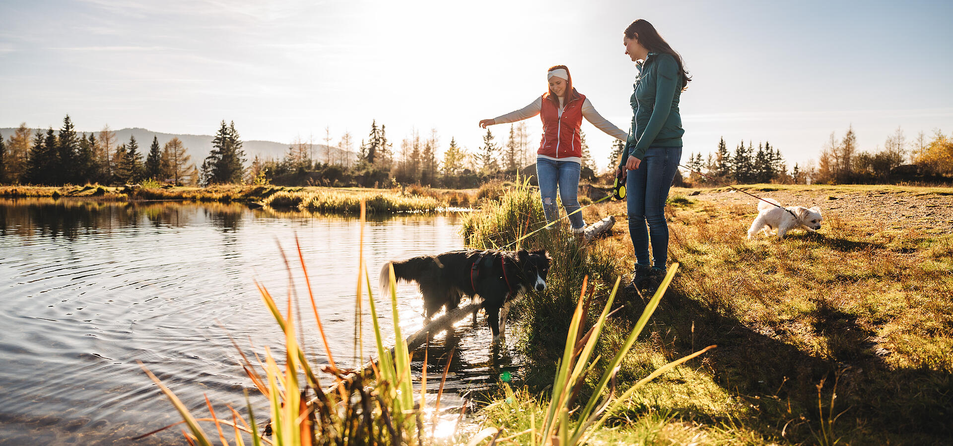 Zwei Frauen beim Wandern auf der Hebalm in Preitenegg mit Hunden