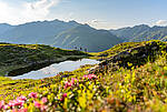 Nationalpark Hohe Tauern
