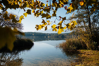 Suedkaernten Landschaft Turnersee Schilf Herbst