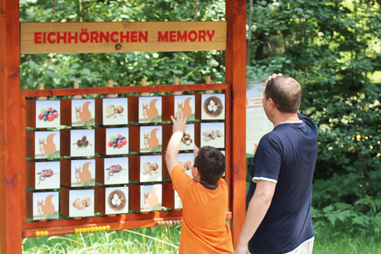 Kaernten AT Ausflugsziele Waldlehrpfad Klassenfahrt 002
