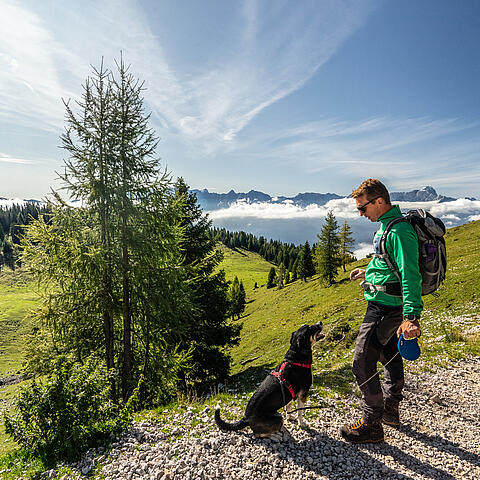Naturel Hoteldorf Schönleitn Wandern mit Hund